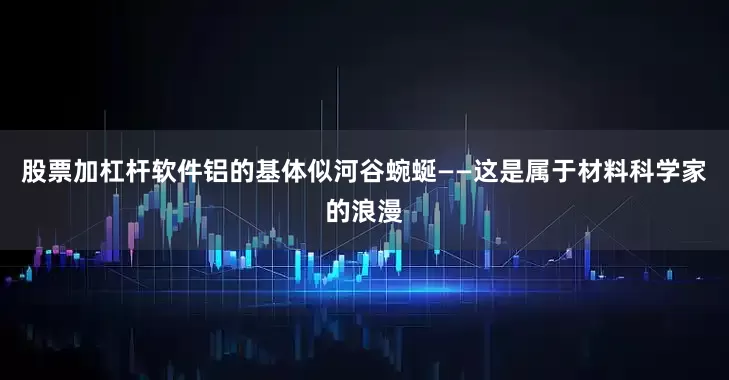 股票加杠杆软件铝的基体似河谷蜿蜒——这是属于材料科学家的浪漫