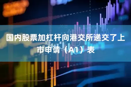 国内股票加杠杆向港交所递交了上市申请（A1）表