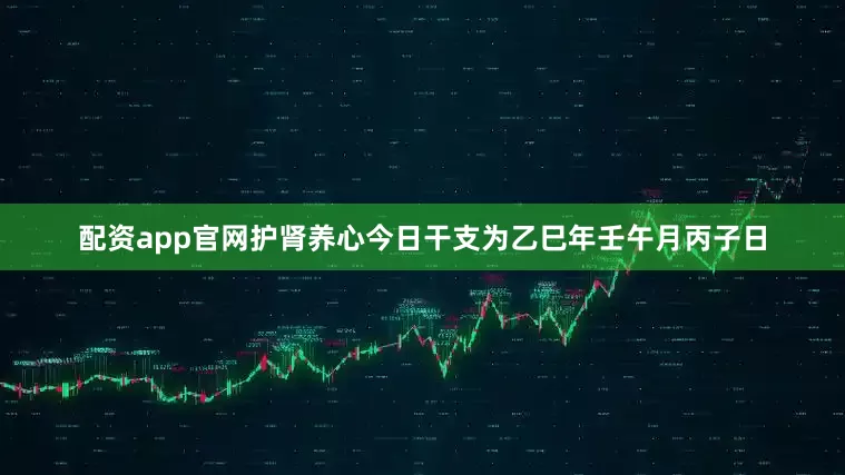 配资app官网护肾养心今日干支为乙巳年壬午月丙子日